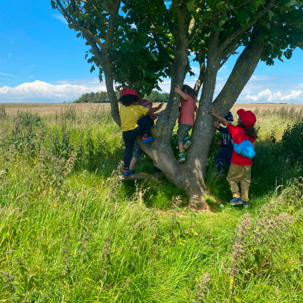 Kids playing in a tree